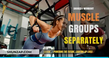 Should You Workout Muscle Groups Separately? Pros, Cons, and Best Practices