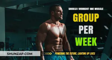 Should You Focus on One Muscle Group Weekly? Pros and Cons