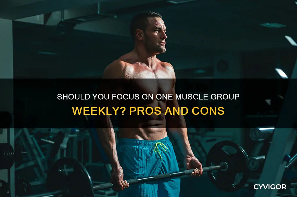 should i workout one muscle group per week