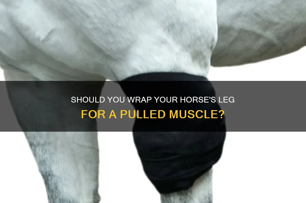 should i wrwp my horses leg for a pulled muscle