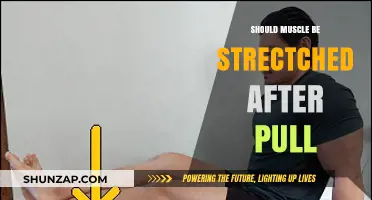 Should You Stretch Pulled Muscles? Recovery Tips and Best Practices