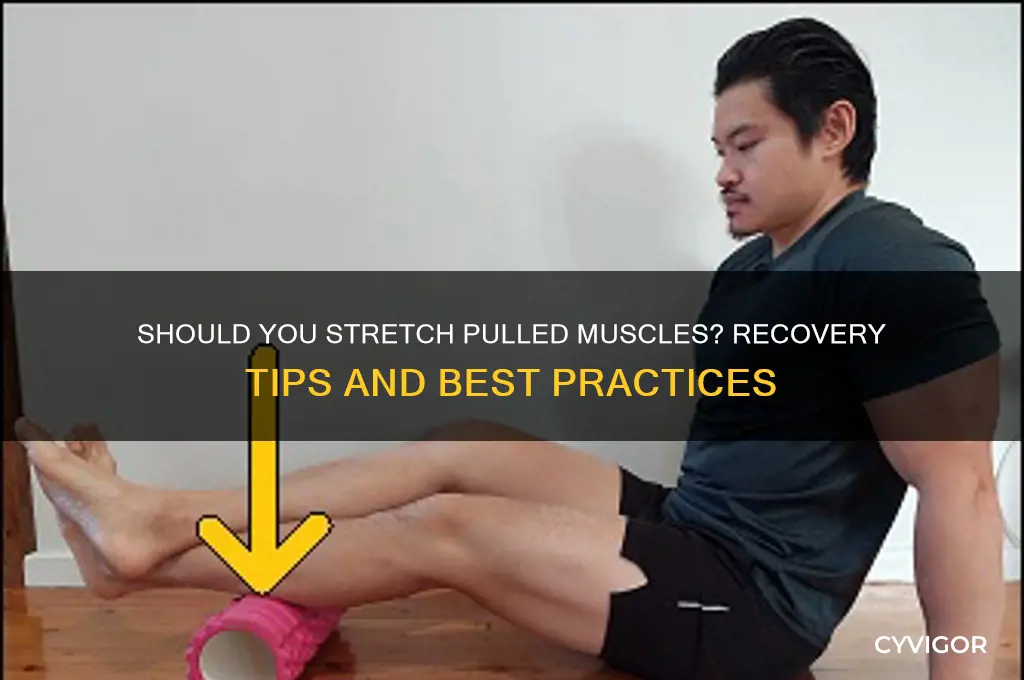 should muscle be strectched after pull