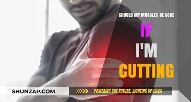 Muscle Soreness During Cutting: Is It Necessary for Fat Loss?