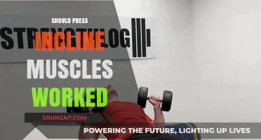 Incline Press Muscles Worked: Benefits, Techniques, and Targeted Areas Explained