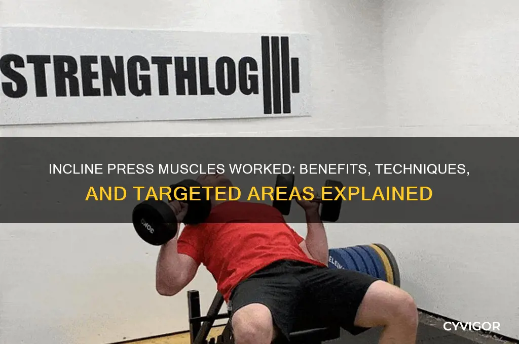 should press incline muscles worked