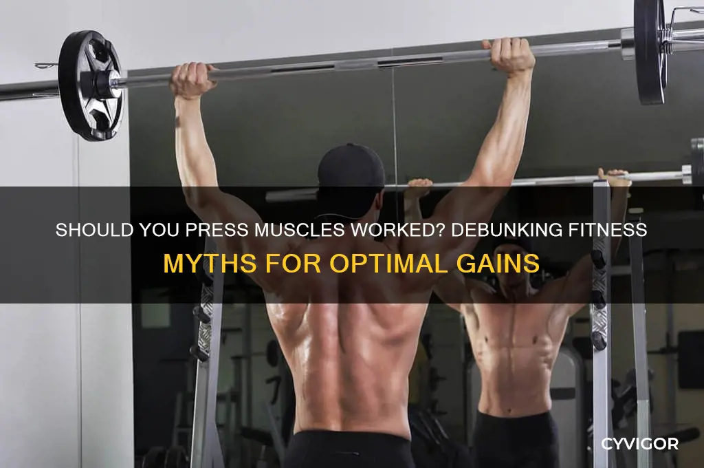 should press muscles worked