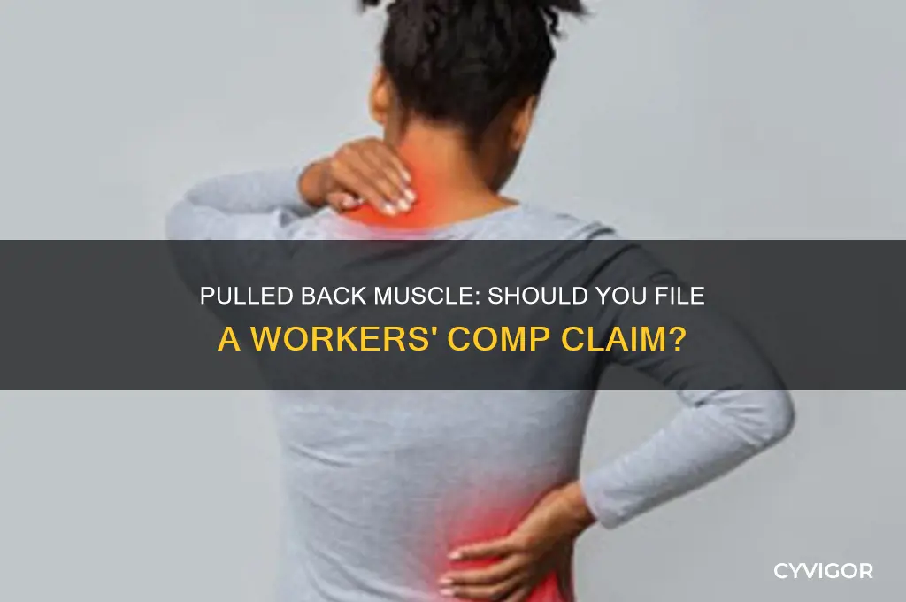 should u file workers comp for pulled back muscle
