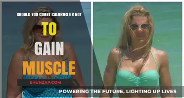 Calorie Counting for Muscle Gain: Essential or Overrated?
