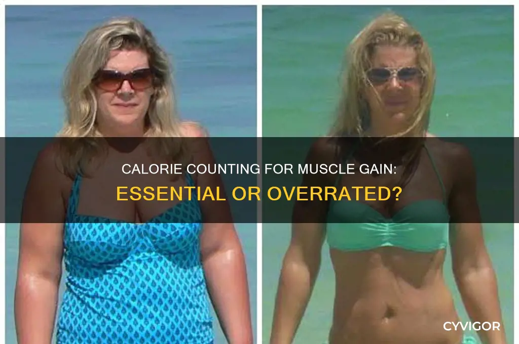 should you count calories or not to gain muscle