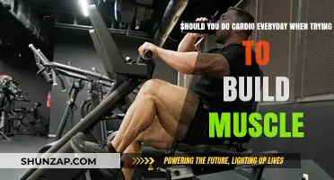 Cardio Conundrum: Daily Aerobics and Muscle Building Dilemma