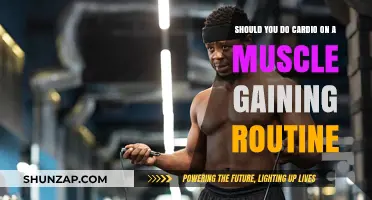 Cardio and Muscle Gain: Enhancing or Hindering Your Routine?