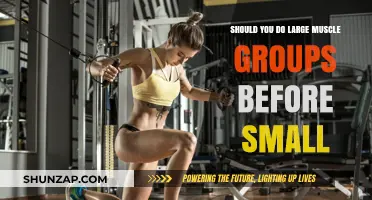 Large Muscles First: Optimal Workout Order for Strength and Size