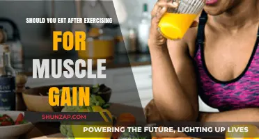 Post-Workout Nutrition: Should You Eat After Exercising for Muscle Gain?