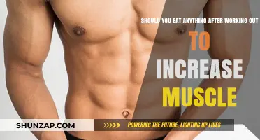 Post-Workout Nutrition: Should You Eat to Boost Muscle Growth?
