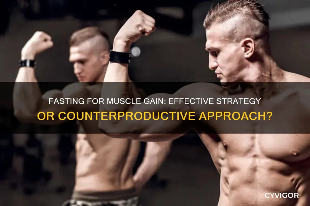 should you eat fst to gain muscle