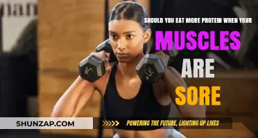 Sore Muscles? Discover If Extra Protein Speeds Up Recovery
