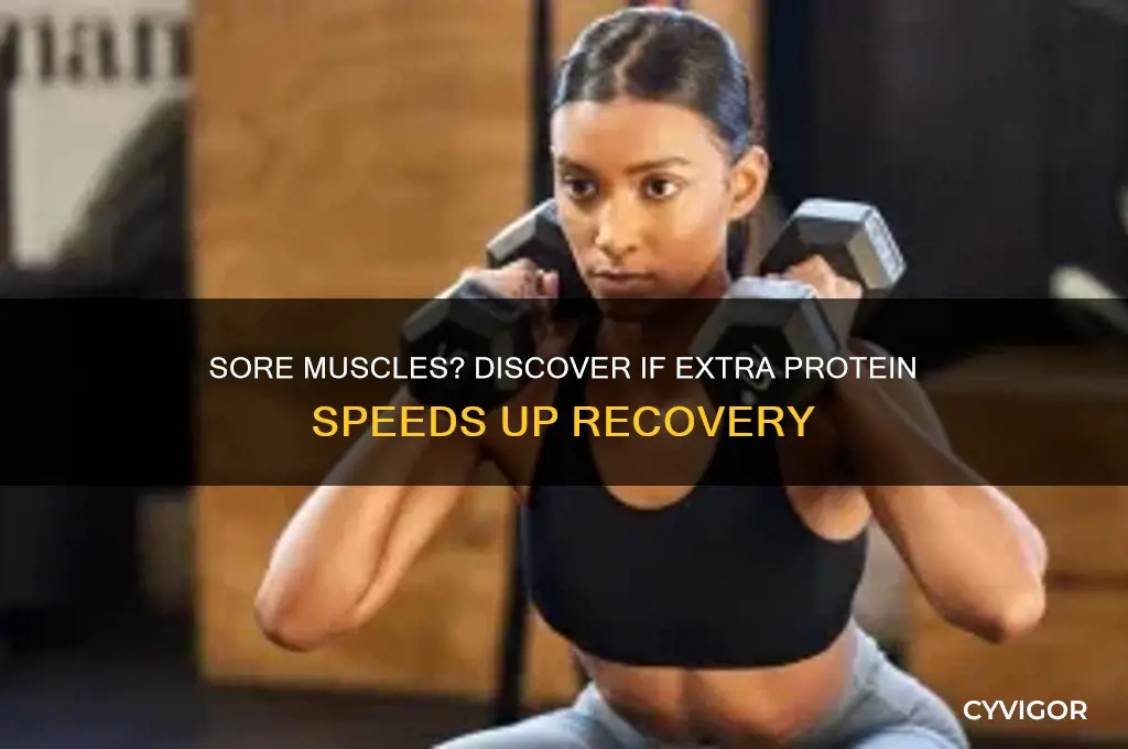 should you eat more protein when your muscles are sore