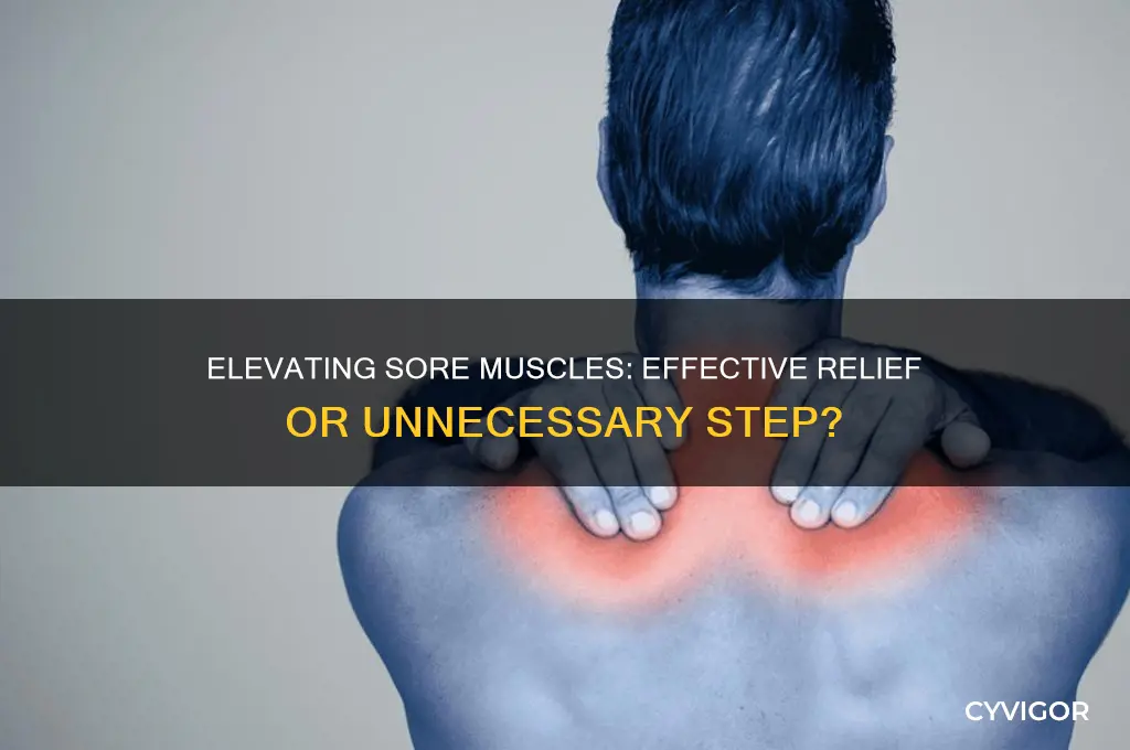 should you elevate a sore muscle