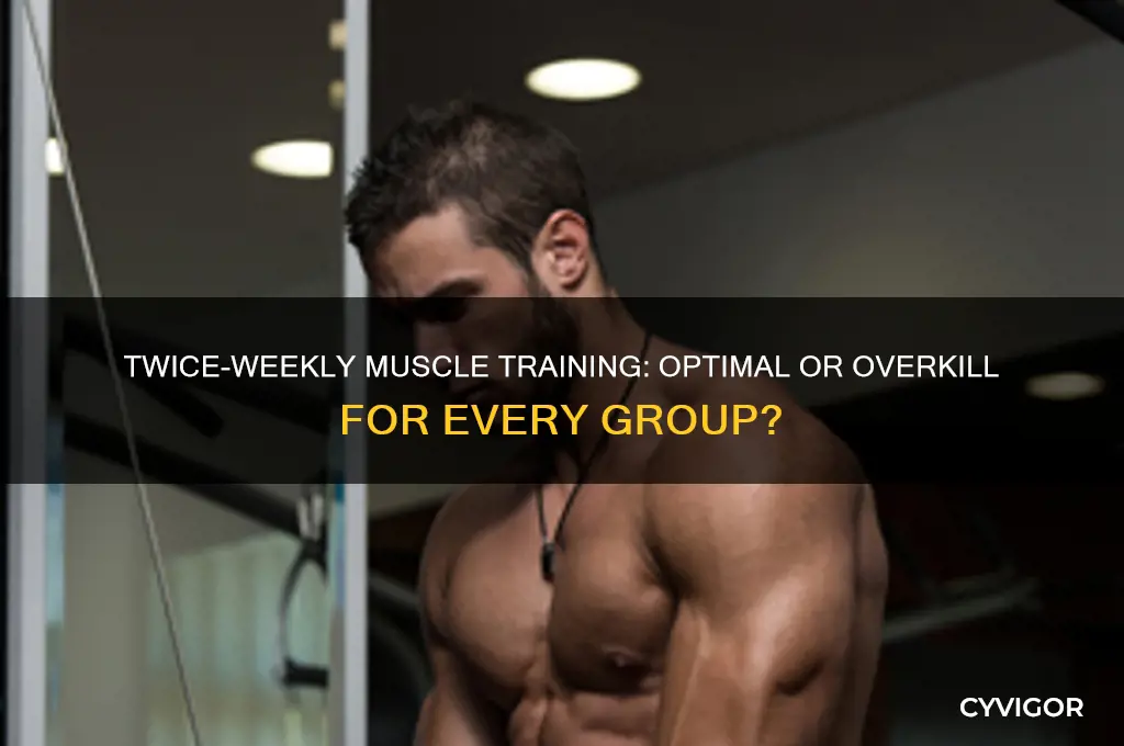 should you hit every muscle group twice a week
