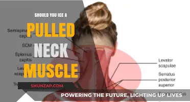 Should You Ice a Pulled Neck Muscle? Expert Advice and Tips