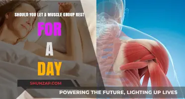 Rest or Push On? The Muscle Recovery Debate Explained