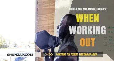 Mixing Muscle Groups: Effective Strategy or Workout Mistake?