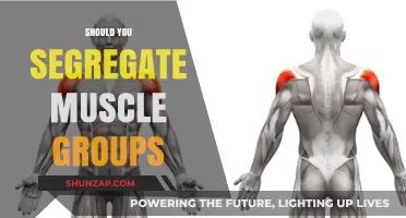 Should You Segregate Muscle Groups for Optimal Workout Results?