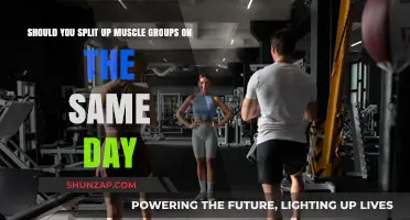 Split Muscle Groups Daily: Benefits, Drawbacks, and Optimal Training Strategies