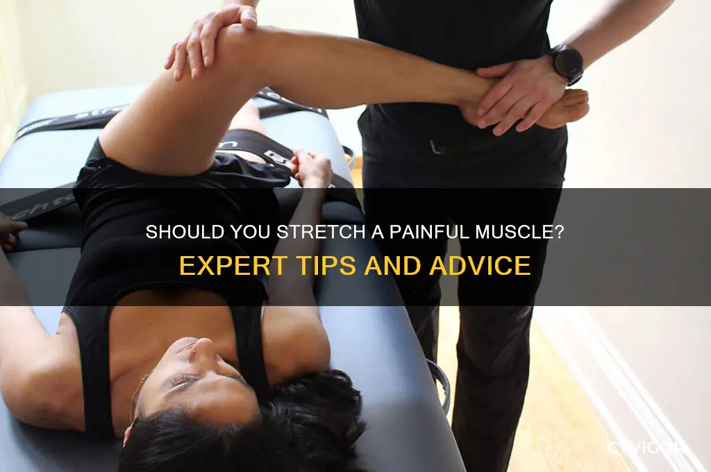 should you strech pain muscle