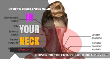 Should You Stretch a Pulled Neck Muscle? Expert Advice and Tips