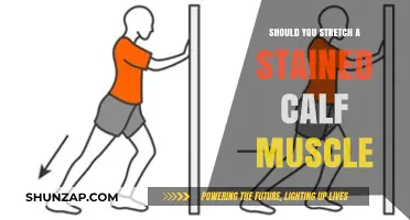 Stretching a Stained Calf Muscle: Yes or No?