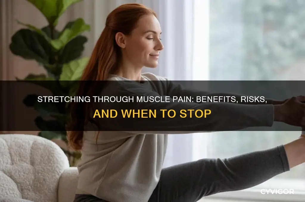 should you stretch through muscle pain