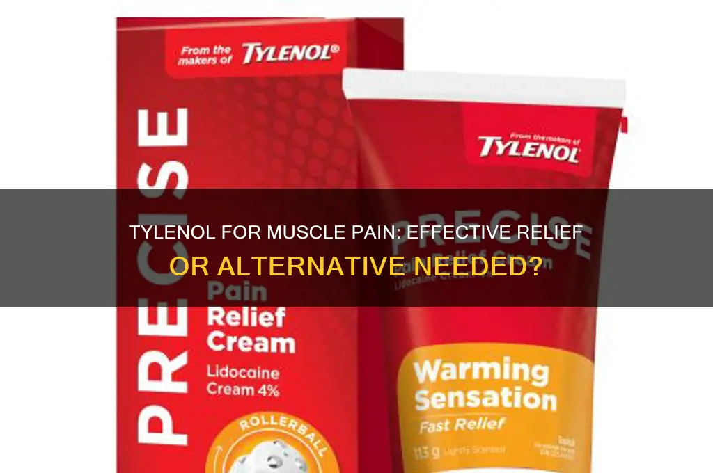 should you take tylenol for muscle pain