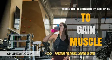 Glutamine for Muscle Gain: Is It Worth Adding to Your Routine?