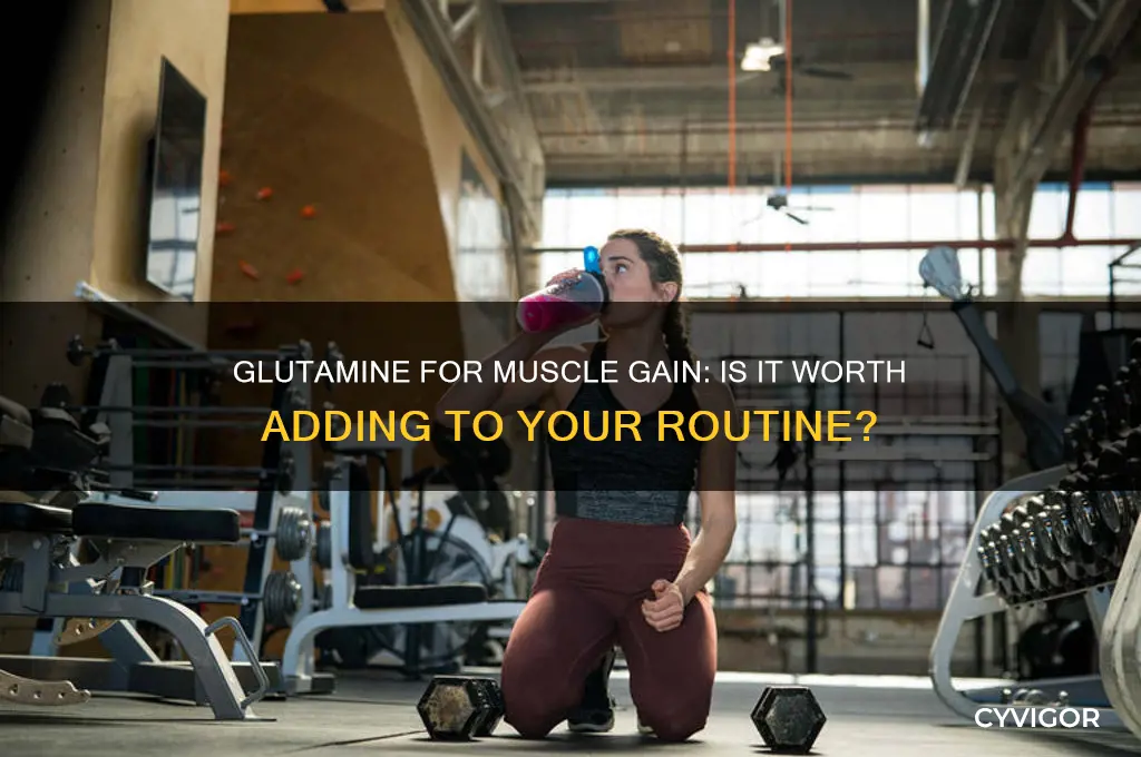 should you tke glutamine if youre trying to gain muscle