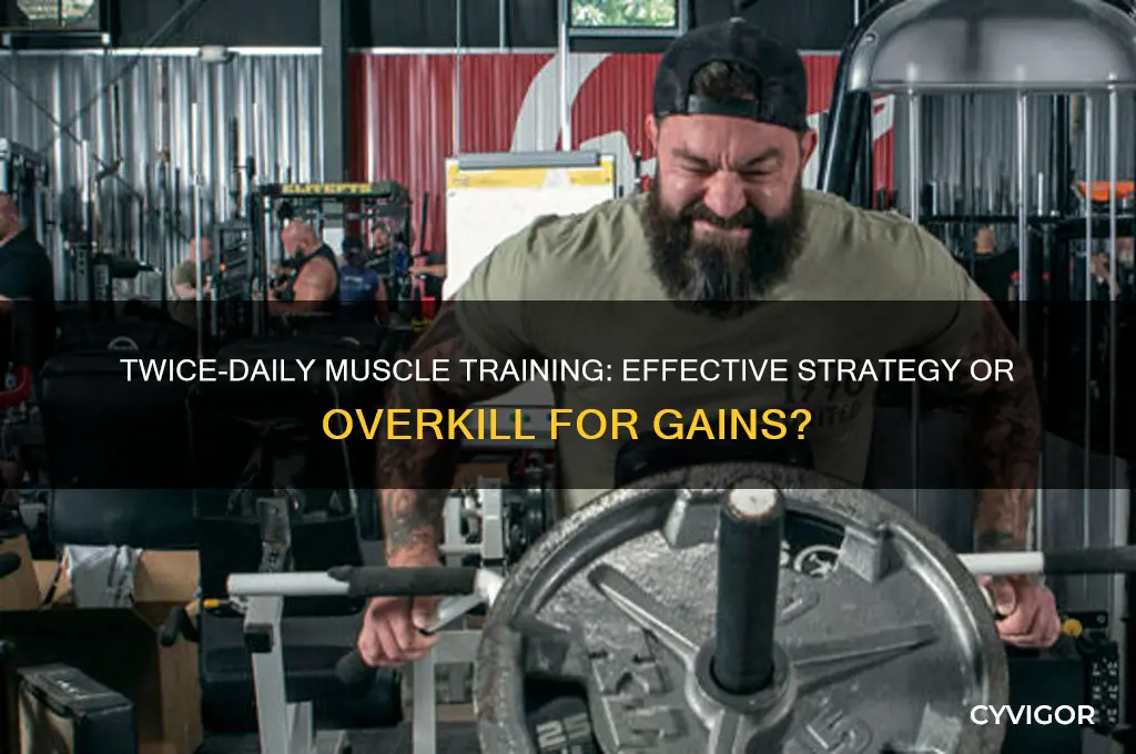 should you train the same muscle group twice a day