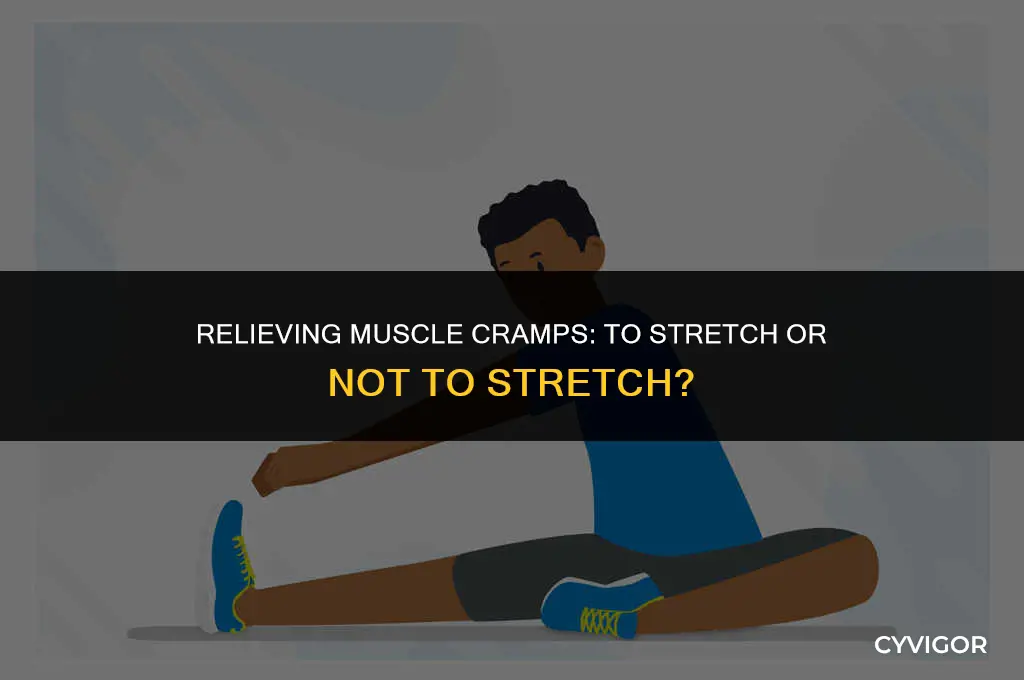 should you try to stretch a cramping muscle