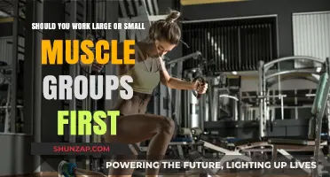 Maximize Your Workout: Large or Small Muscles First?