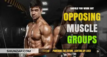 Balancing Strength: Should You Train Opposing Muscle Groups Together?