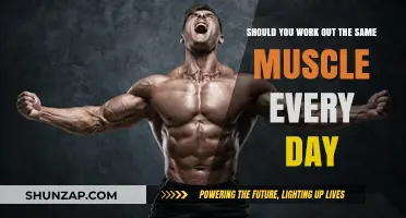 Daily Muscle Workouts: Effective or Counterproductive for Strength Training?