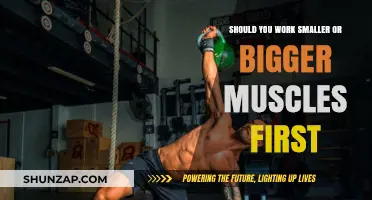 Maximize Your Workout: Smaller or Bigger Muscles First?