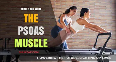 Unlocking the Psoas: Benefits, Risks, and Effective Workout Strategies