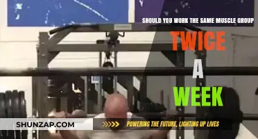 Should You Train the Same Muscle Group Twice Weekly?