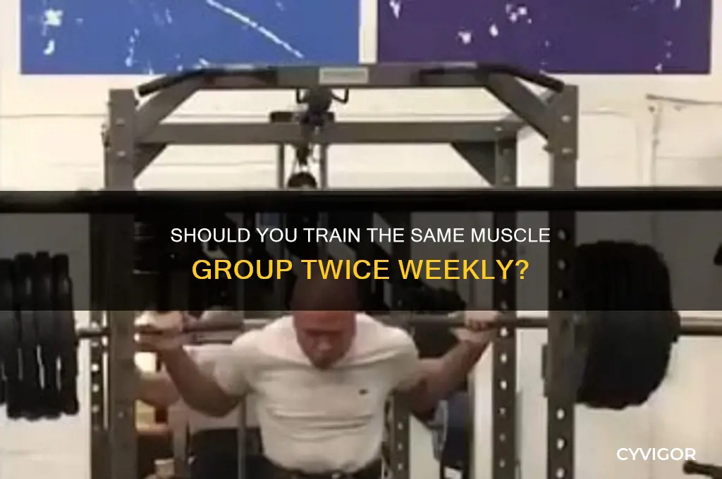should you work the same muscle group twice a week