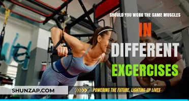 Maximizing Gains: Should You Train the Same Muscles in Multiple Exercises?