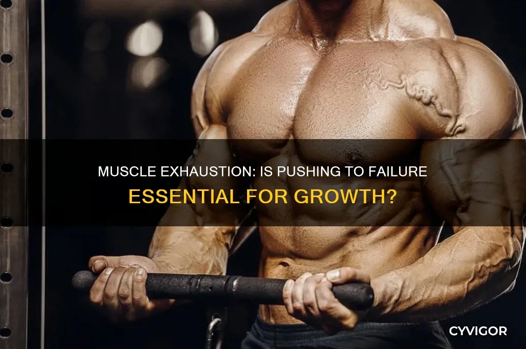 should you work your muscles to exhaustion