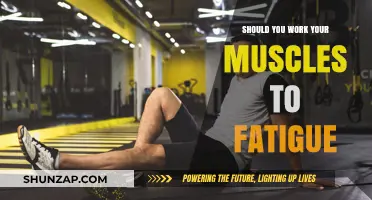 Muscle Fatigue: Effective Training or Harmful Practice?