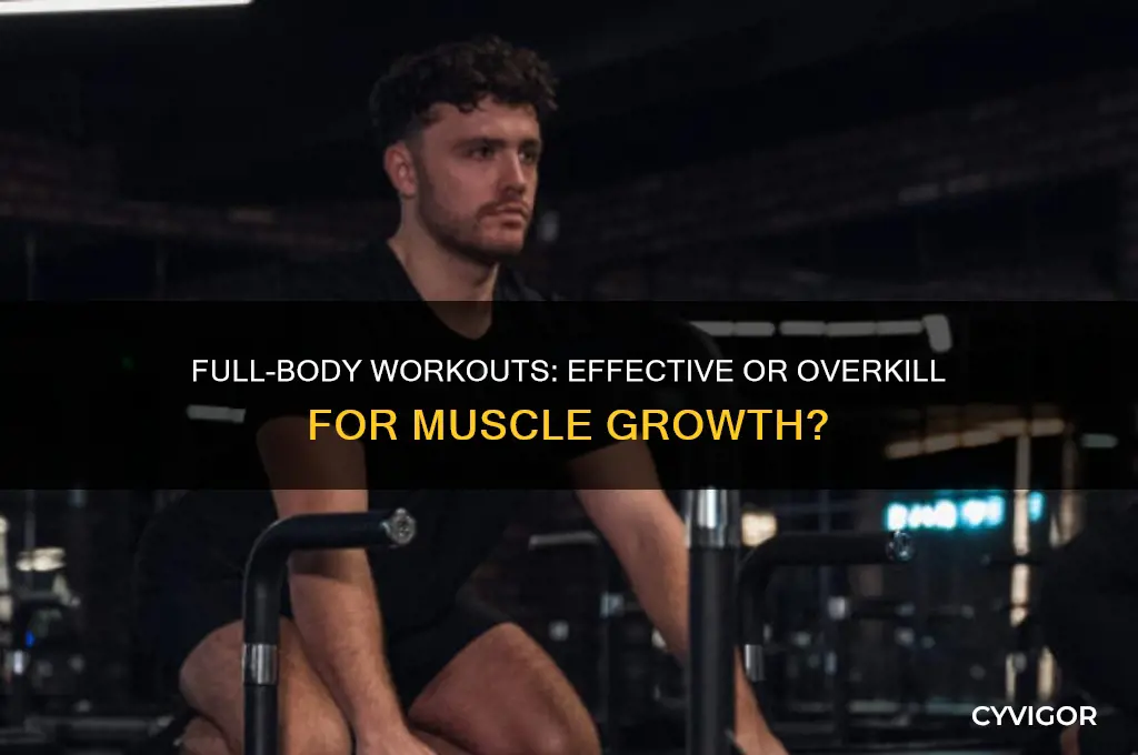 should you workout every muscle group in the same day