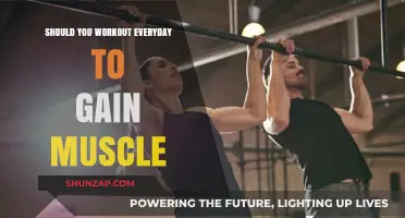 Daily Workouts vs. Muscle Gain: Finding the Optimal Training Balance