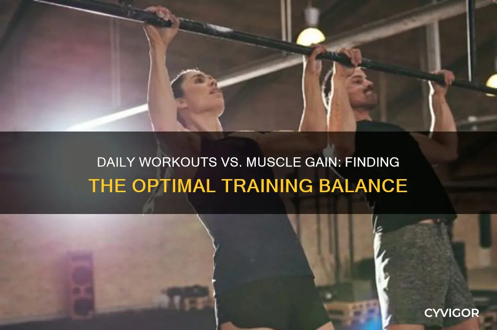 should you workout everyday to gain muscle